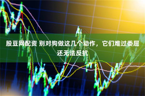 股豆网配资 别对狗做这几个动作，它们难过委屈还无法反抗