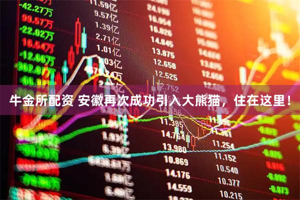 牛金所配资 安徽再次成功引入大熊猫，住在这里！