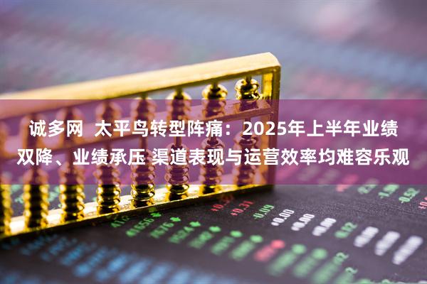 诚多网  太平鸟转型阵痛：2025年上半年业绩双降、业绩承压 渠道表现与运营效率均难容乐观