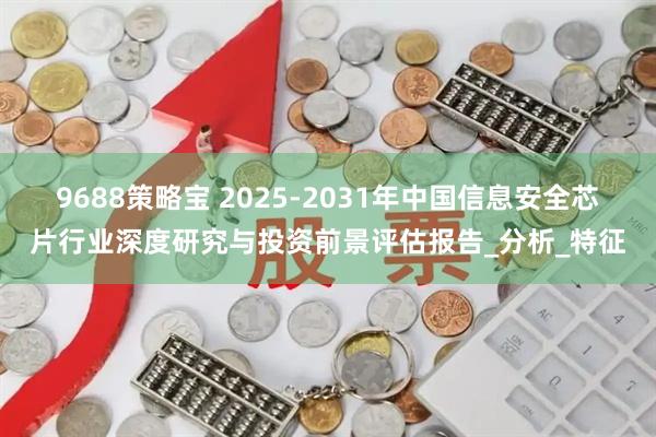 9688策略宝 2025-2031年中国信息安全芯片行业深度研究与投资前景评估报告_分析_特征