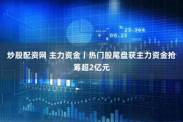 炒股配资网 主力资金丨热门股尾盘获主力资金抢筹超2亿元