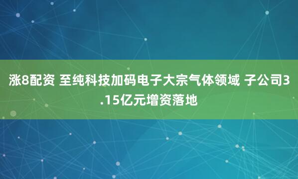 涨8配资 至纯科技加码电子大宗气体领域 子公司3.15亿元增资落地